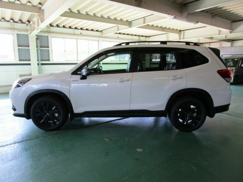 FORESTER-1