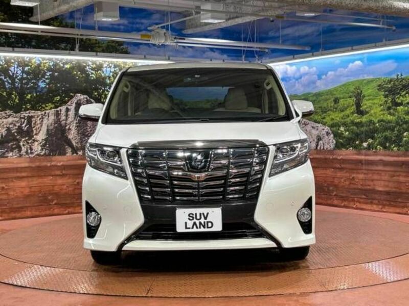 ALPHARD-14