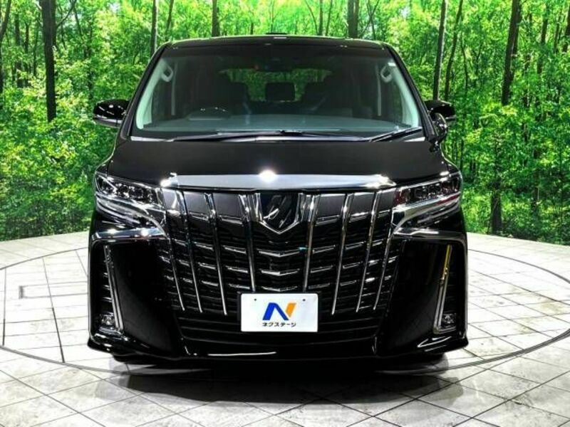 ALPHARD-17