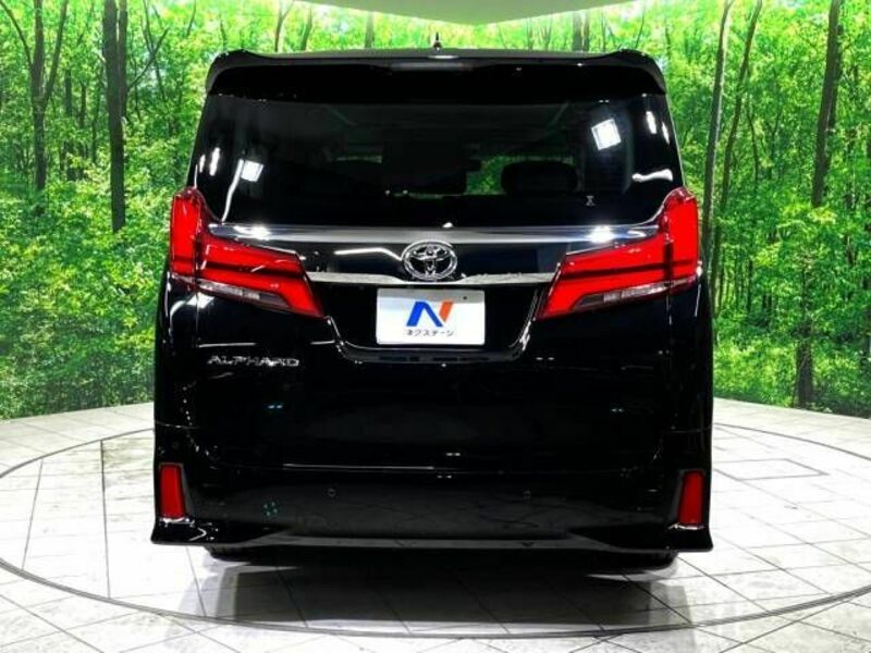 ALPHARD-18