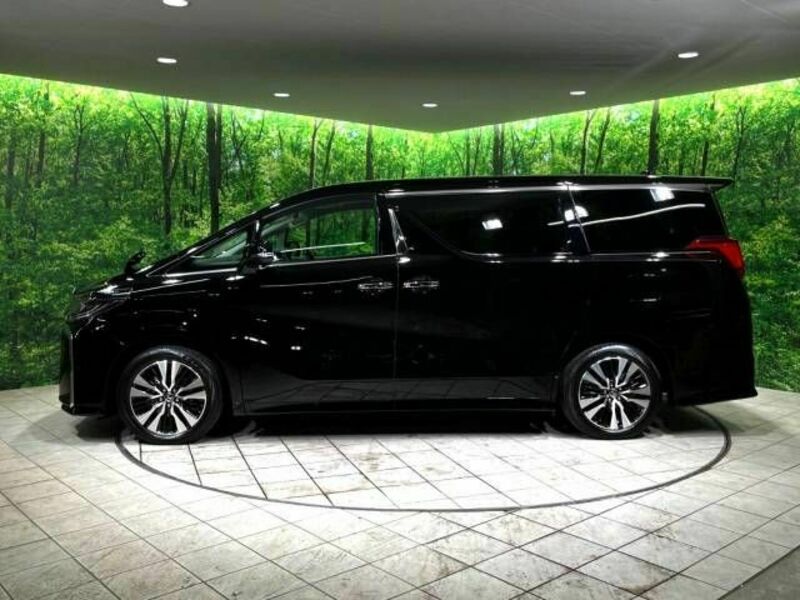 ALPHARD-19