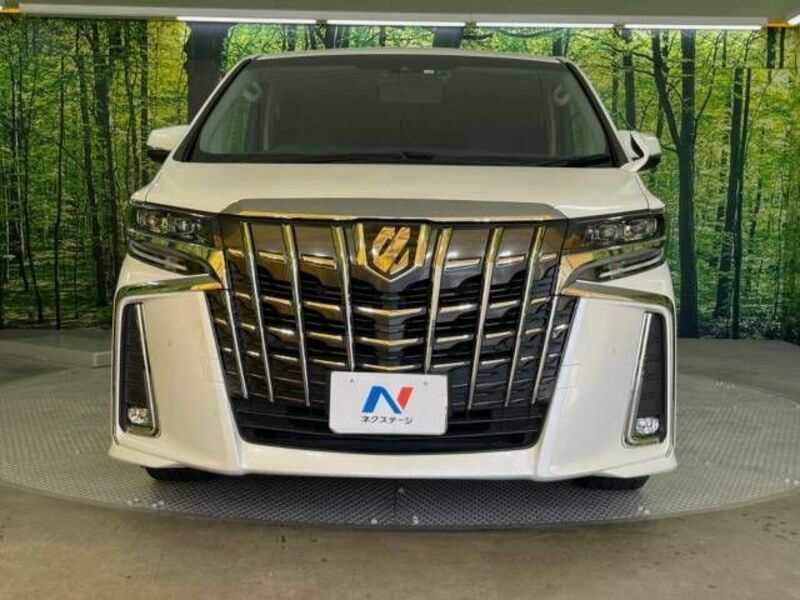 ALPHARD-15