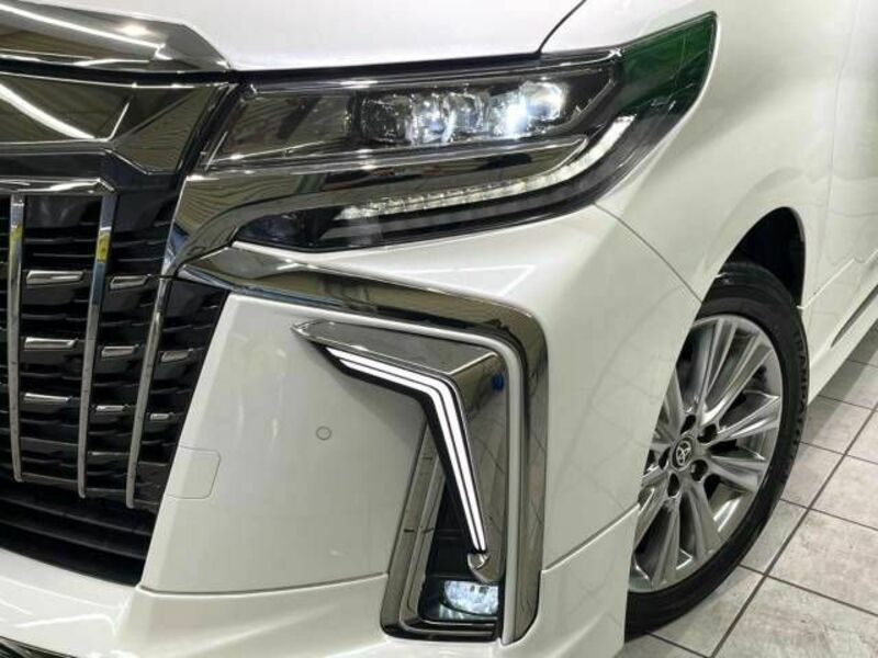 ALPHARD-12