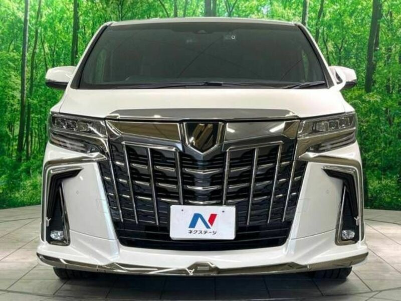 ALPHARD-14