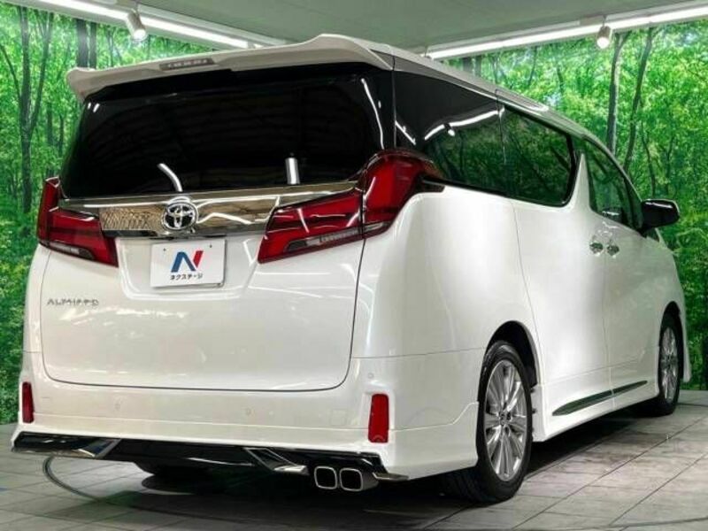 ALPHARD-17