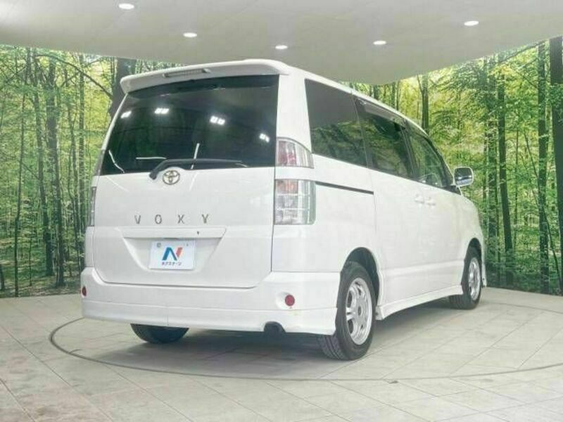 VOXY-17