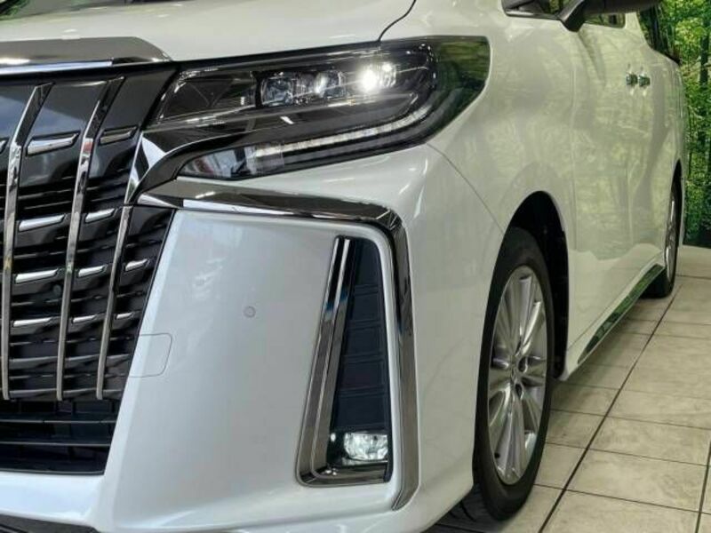 ALPHARD-13