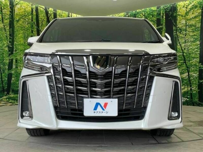 ALPHARD-15