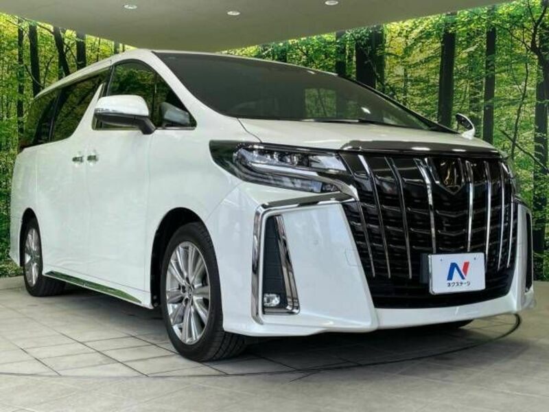 ALPHARD-17