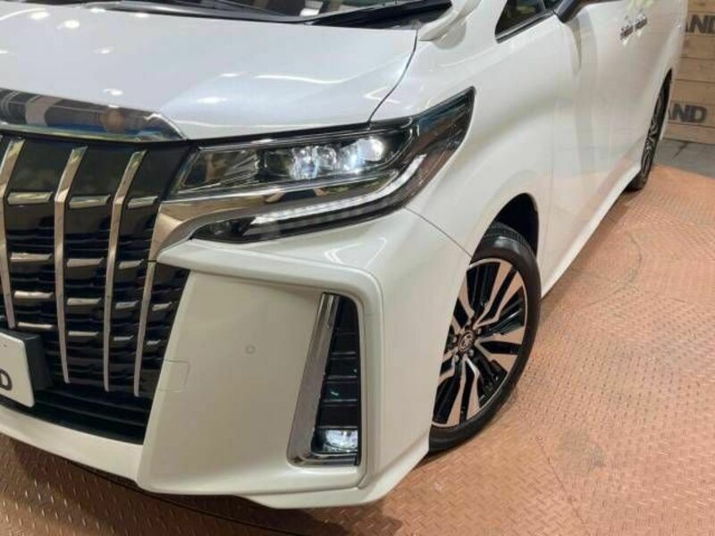 ALPHARD-11