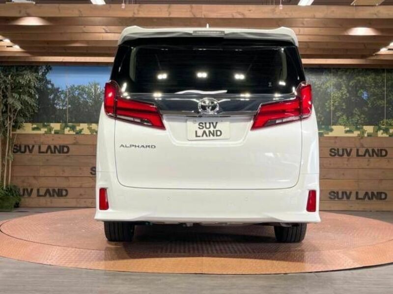 ALPHARD-19