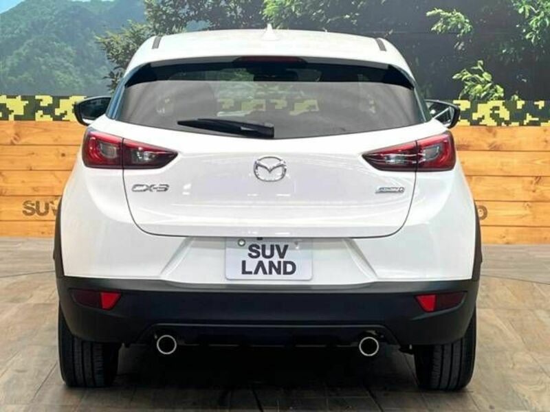 CX-3-15