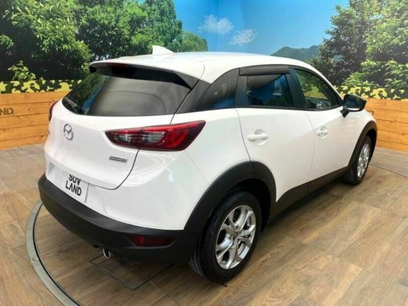 CX-3-17