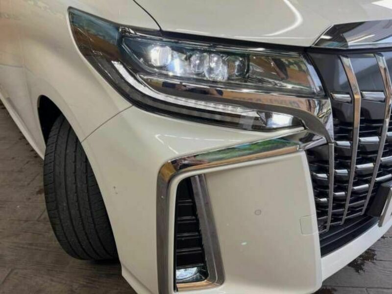 ALPHARD-13