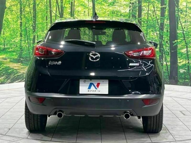 CX-3-15