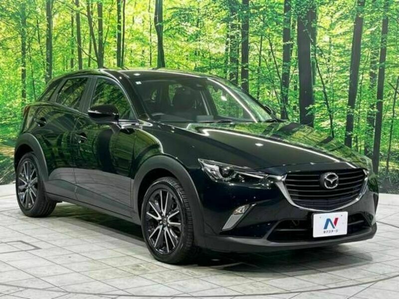 CX-3-16