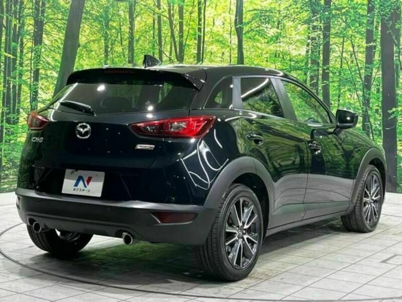 CX-3-17