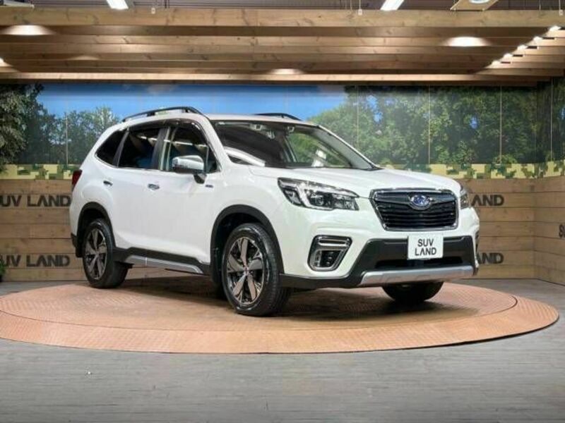 FORESTER-16