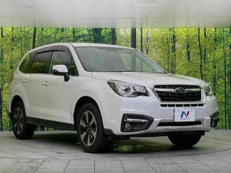 FORESTER-16