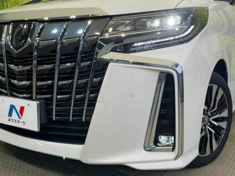 ALPHARD-13