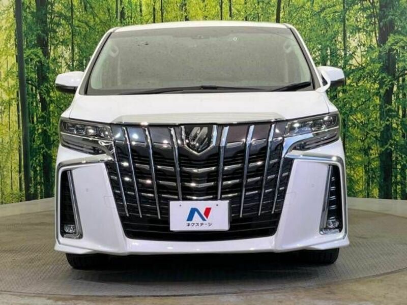 ALPHARD-15