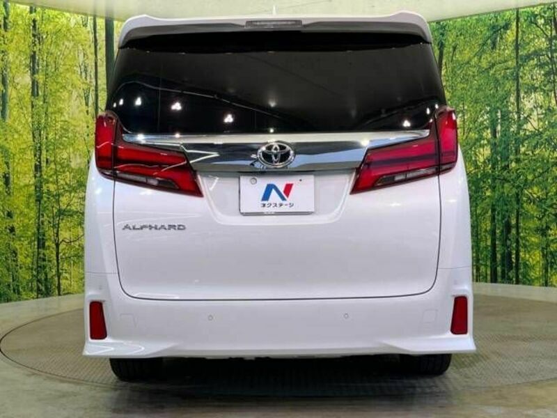 ALPHARD-16