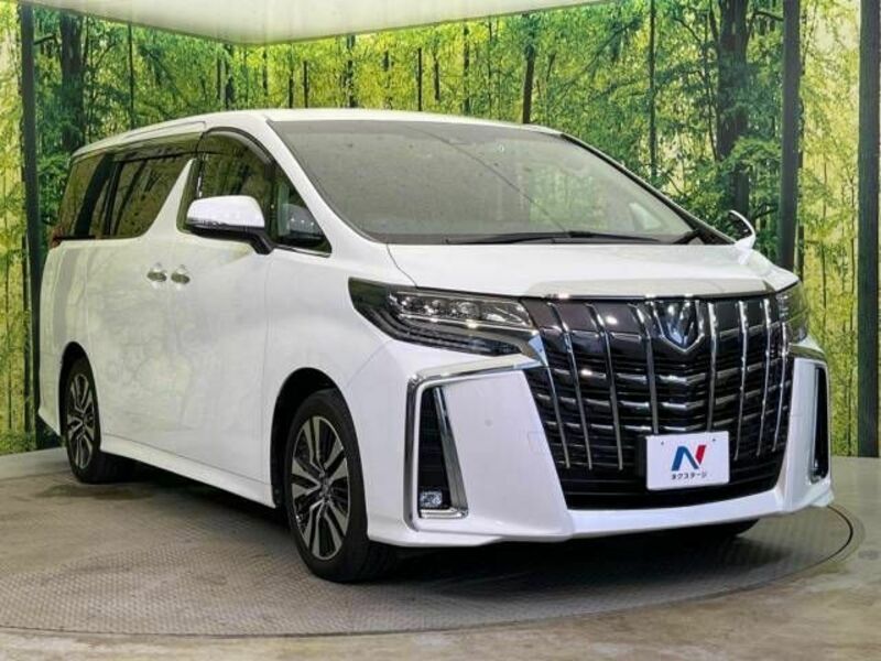 ALPHARD-17