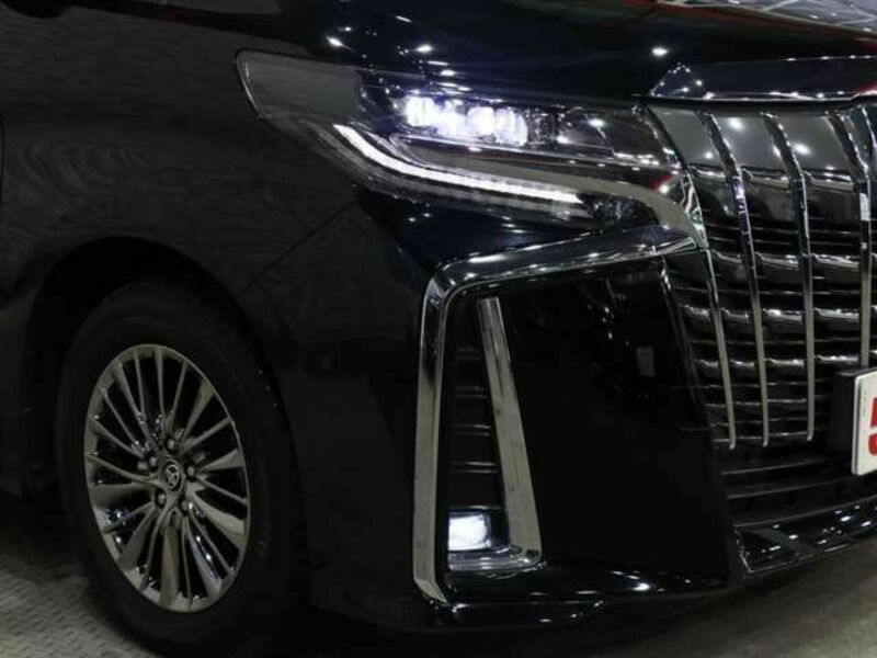 ALPHARD-15