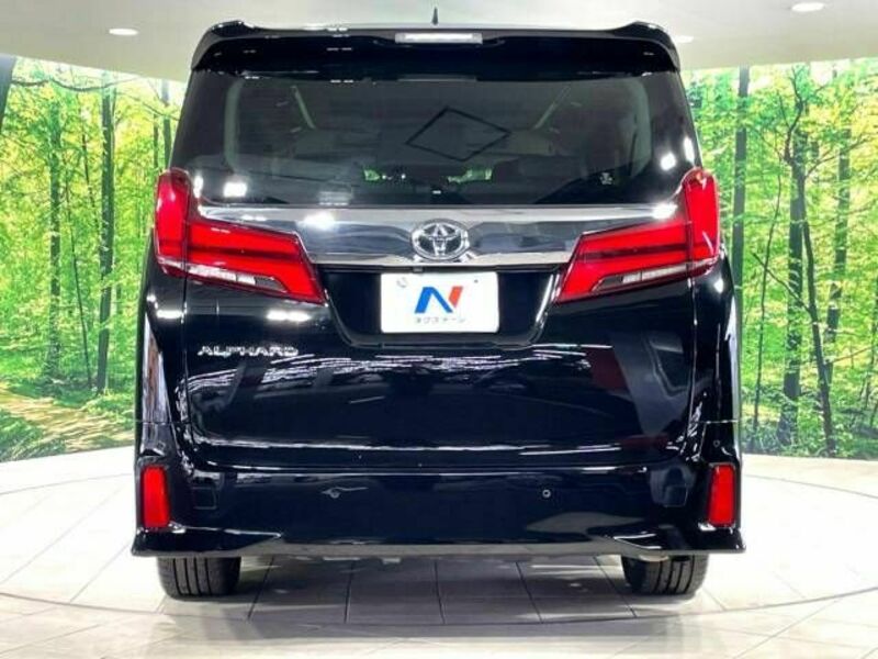 ALPHARD-16