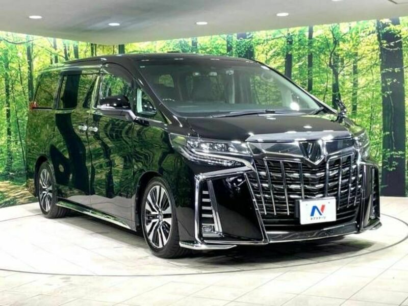 ALPHARD-17