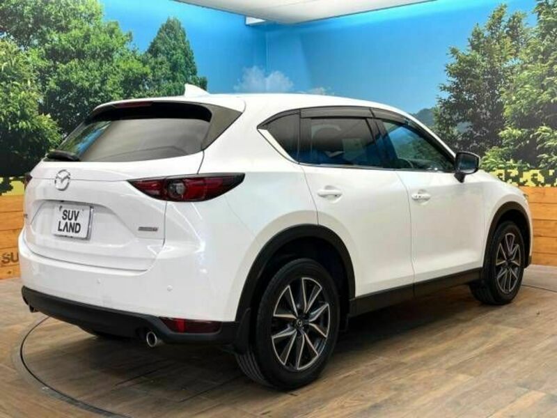 CX-5-17