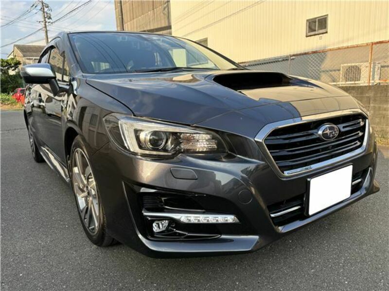 LEVORG-5