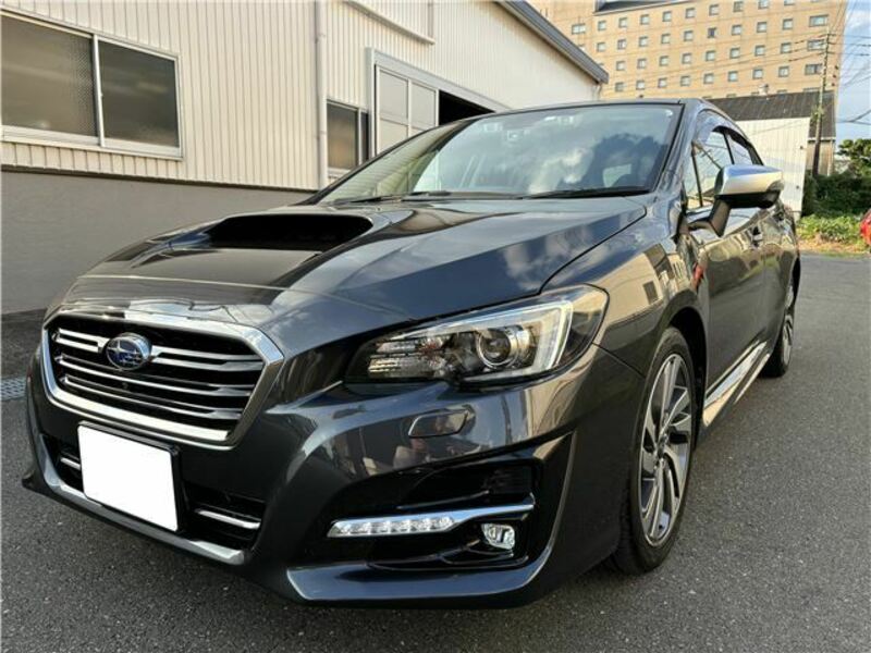 LEVORG-8