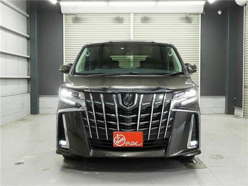 ALPHARD-31