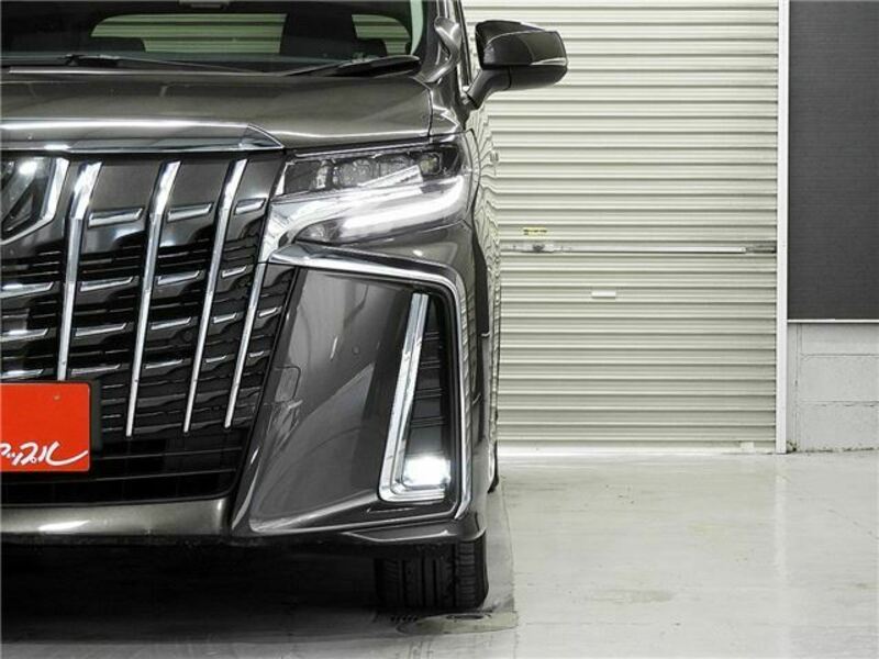 ALPHARD-39