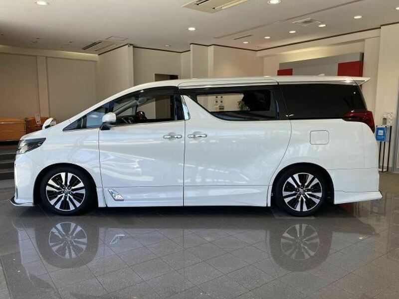 ALPHARD-13