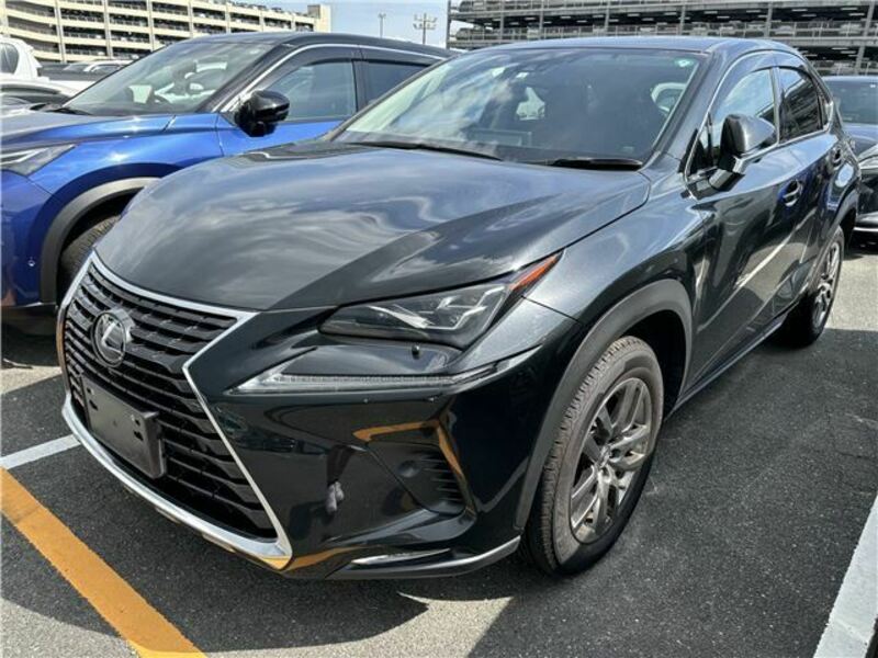 LEXUS　NX