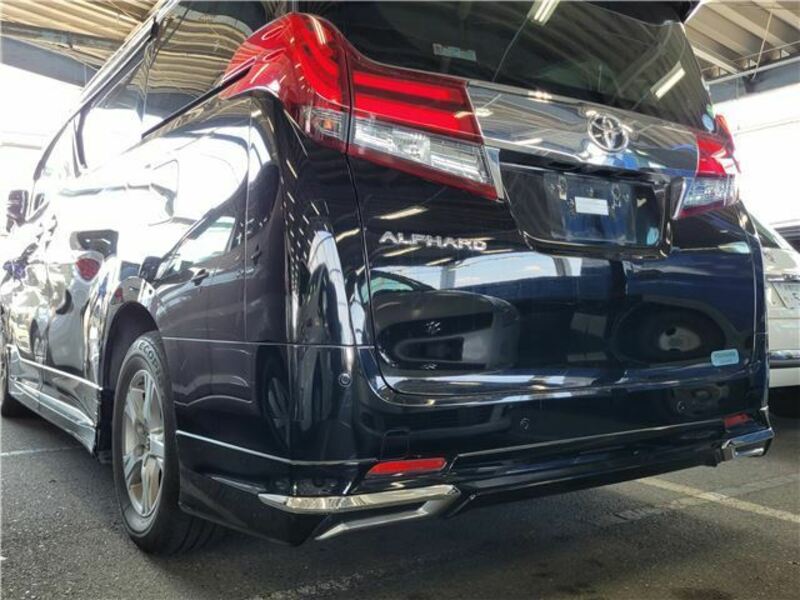 ALPHARD-4