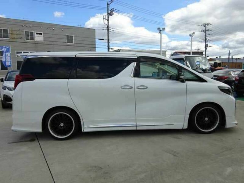 ALPHARD-10