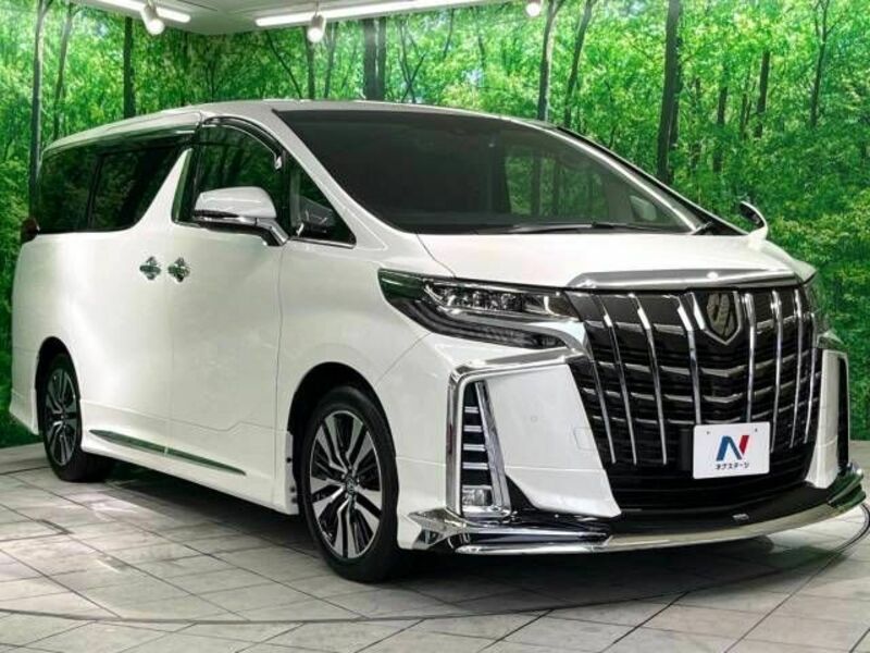 ALPHARD-17