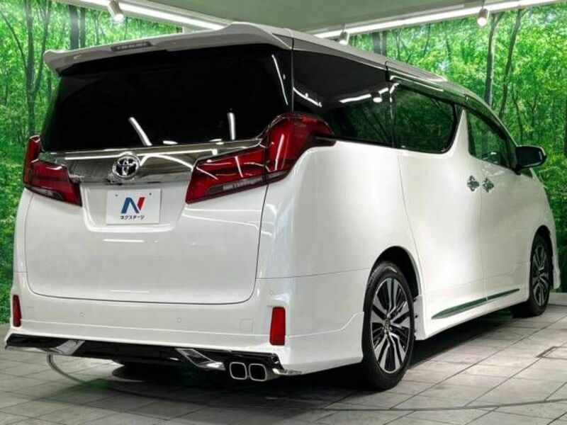 ALPHARD-18