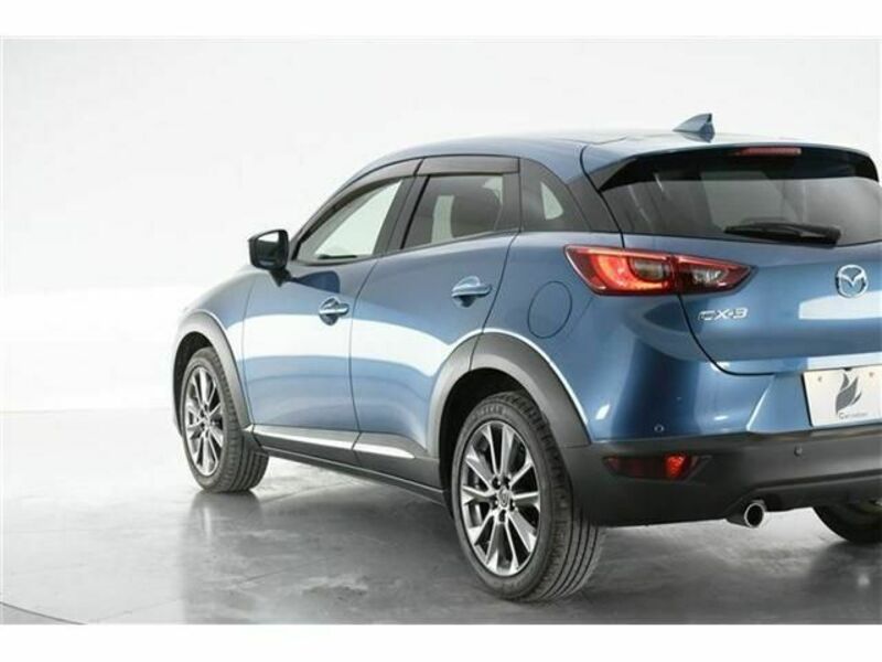 CX-3-6