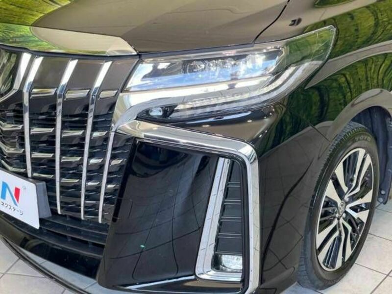 ALPHARD-12