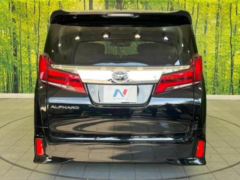 ALPHARD-15