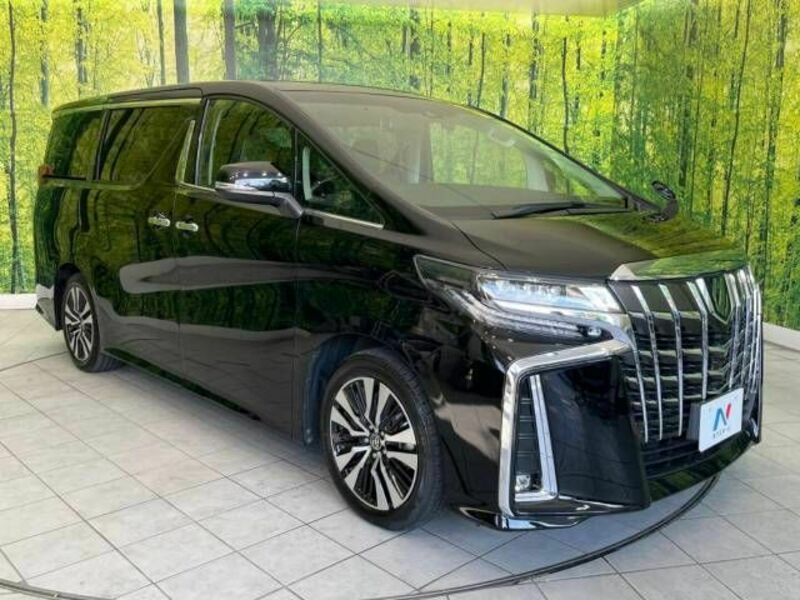 ALPHARD-16