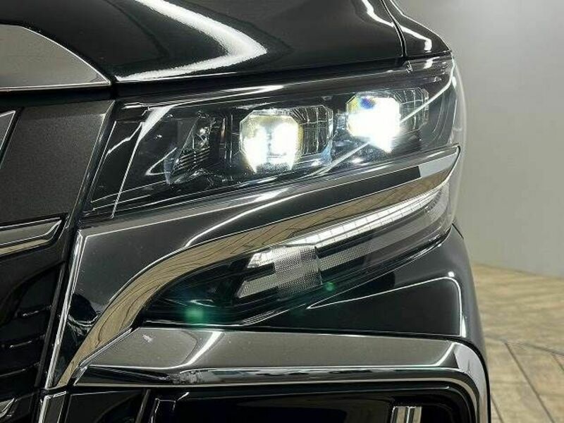 ALPHARD-19