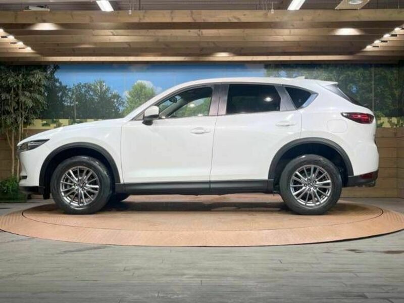 CX-5-19