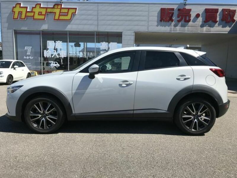 CX-3-8