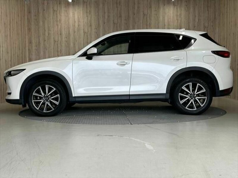 CX-5-18