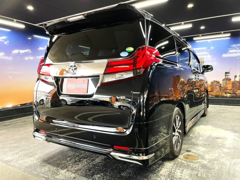 ALPHARD-10